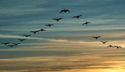 Sarah McNally Promoted to Partner at Rodefer Moss