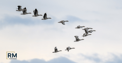 Rodefer Moss Launches Rodefer Moss Transaction Advisors to Expand M&A Capabilities